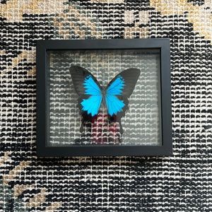 Butterfly artwork